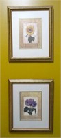 Pair of Framed Floral Lithographs