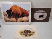 Bison photograph and prints
