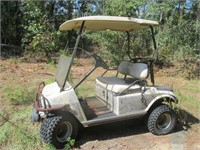 Golf Cart Needs Batteries