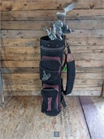 Spalding Golf Bag/Verdict Golf Clubs