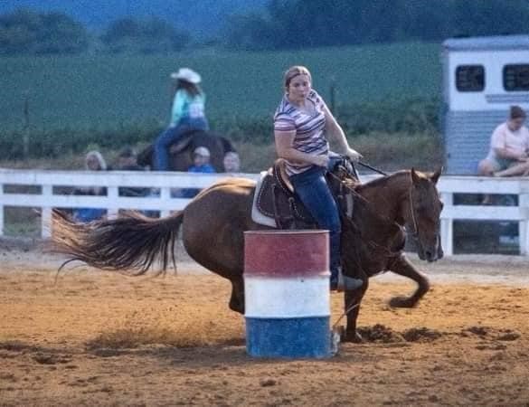 American Made Livestock Market RIDING HORSE SPECIAL