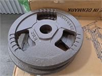 (set of 2) 25 lb Plate weights