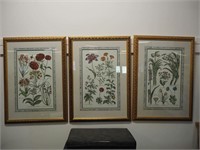 Three botanical prints in matching gold frames,