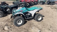 Polaris 250 ATV (running)