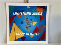 Dizzy Heights two sided record store place saver