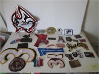 LARGE LOT PATCHES