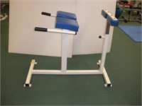 Abdominal/Back Exercise Machine  46 inches long