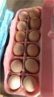 12 Fertile Asst. Cochin Banty Eggs