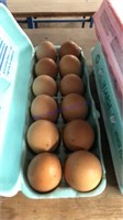 12 Fertile Copper Maran Eggs