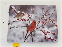 Winter Cardinals Picture