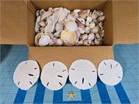 Box of asst seashells