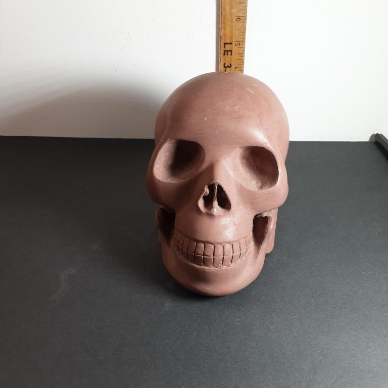 8 lb skull