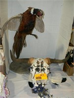 PHEASANT TAXIDERMY MOUNT, PAINTED AND DECORATED