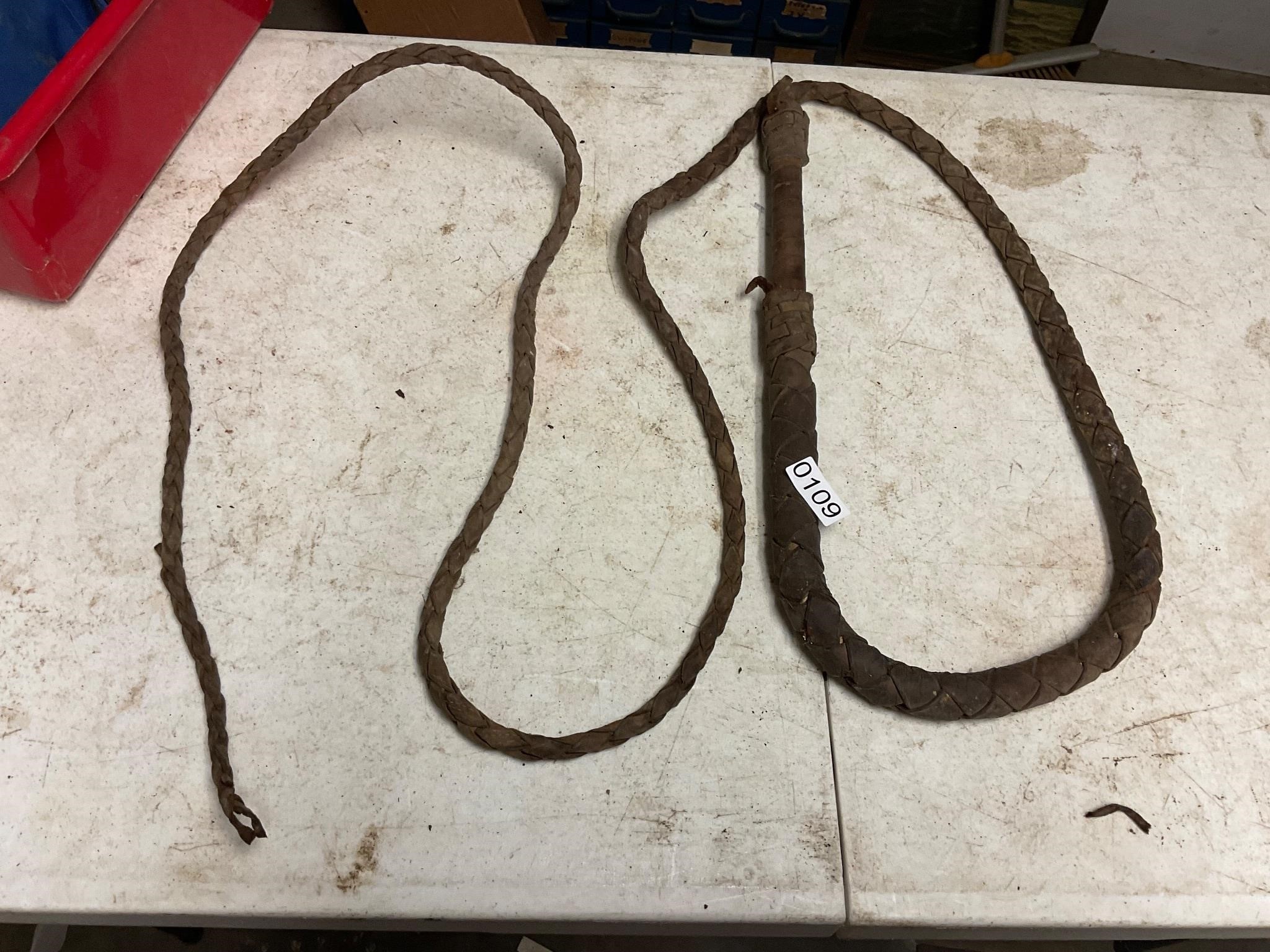Bullwhip- as pictured