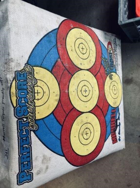 PERFECT SCORE ARCHERY TARGET