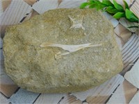 DINOSAUR BONE IN MATRIX ROCK STONE LAPIDARY SPECIM