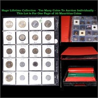 Huge Liifetime Collection - Too Many Coins To Auct