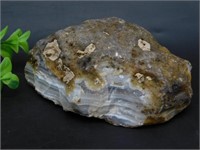 BRAZILIAN AGATE ROCK STONE LAPIDARY SPECIMEN