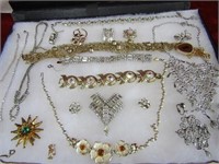 Showcase of jewelry. Necklaces, etc.