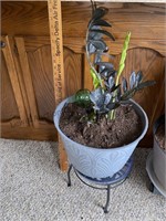 large planter pot with stand, contains a black