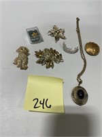 Costume Jewelry - Necklace and Brooches / Pins