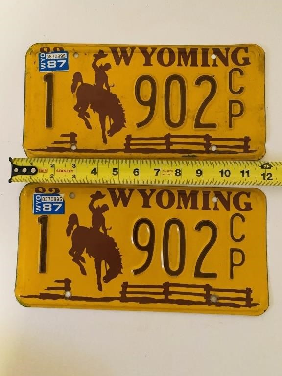 Brown & Gold Wyoming License Plate Set