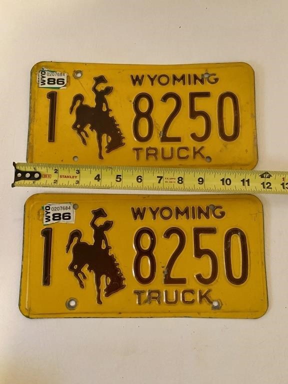 1983 Brown & Gold Wyoming License Plate