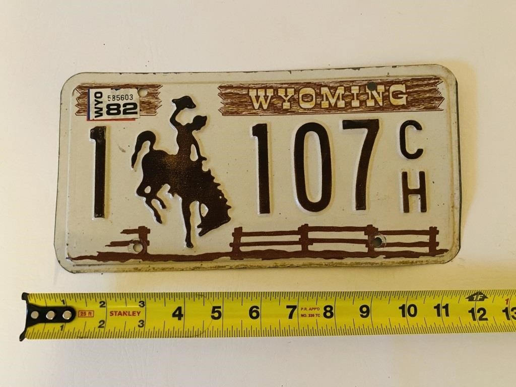 Brown & White Wyoming License Plate