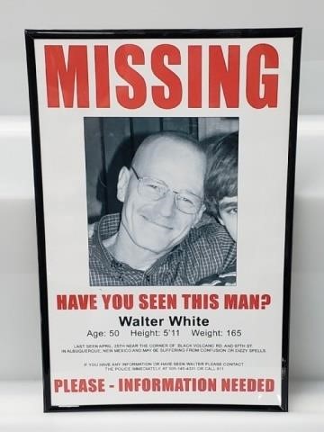 walter white missing poster