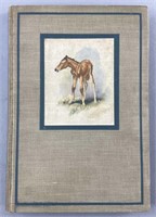 Red Pony John Steinbeck 1st Illustrated Ed.