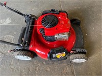 Briggs & Stratton Push Mower