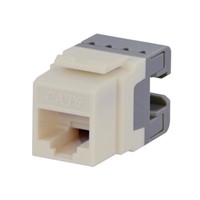 Cat-6 Jack in White (25-Pack)