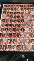 Louisville cardinals trading cards