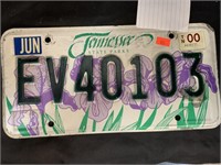 TENNESSEE STATE PARKS LICENSE PLATE