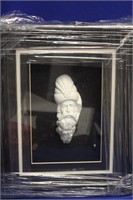Shadow Box Framed Carved Meerchaum Head