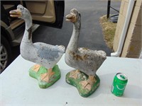 concrete ducks