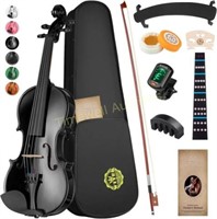Black Violin for Beginners  WITEK Violin 4/4