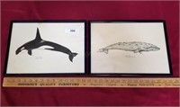 14.5" Framed Whale Prints
