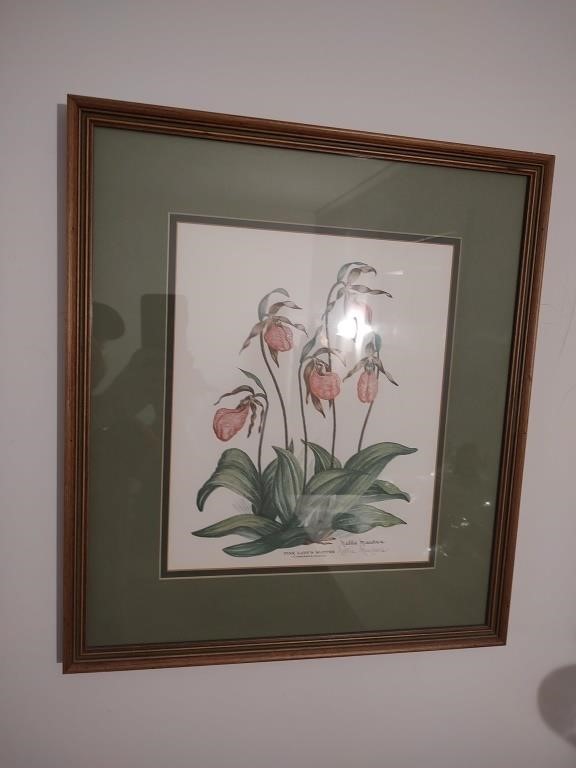 "Pink Lady Slipper" Print by Nellie Meadows