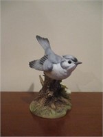 Tufted Titmouse 1989