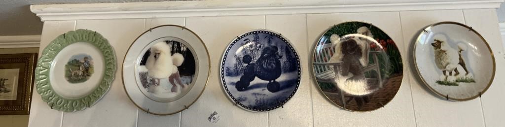 5 collector's plates w/poodles 7.5” x 8”