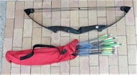 Bear Black/Mag Compound Bow + Arrows
