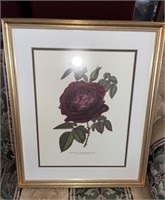 Vintage Botanical Rose Print