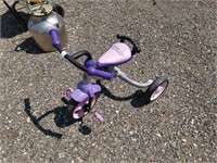 Purple-Grey Tricycle (O)