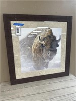 Buffalo Framed Art