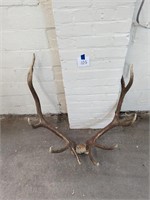 Elk Antlers