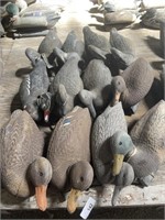 12 - Plastic Duck Decoys