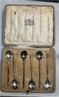 (6) Spoons in Case