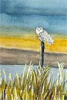 Skyrie - Owl