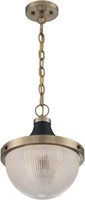 $320-Nuvo Lighting 45923672729 Bowl Pendant Light,